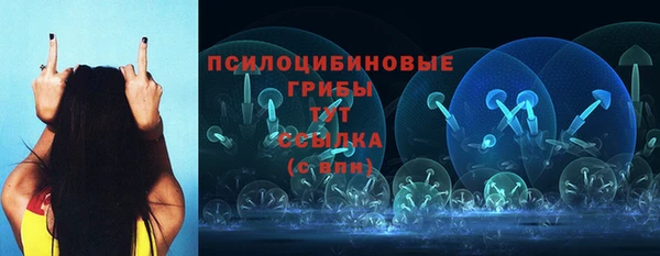 мяу мяу мука Арсеньев