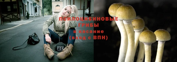 крисы Армянск