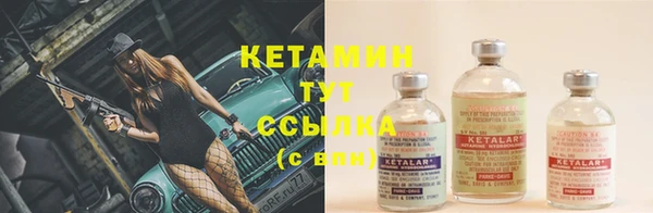 крисы Армянск