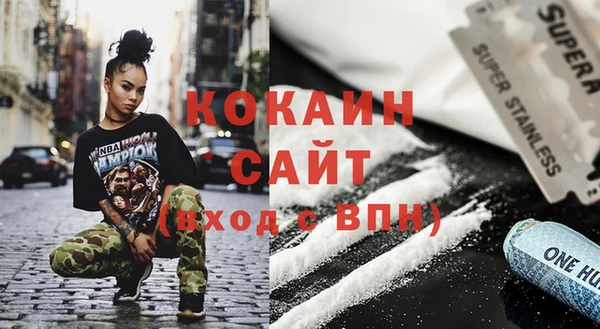 крисы Армянск