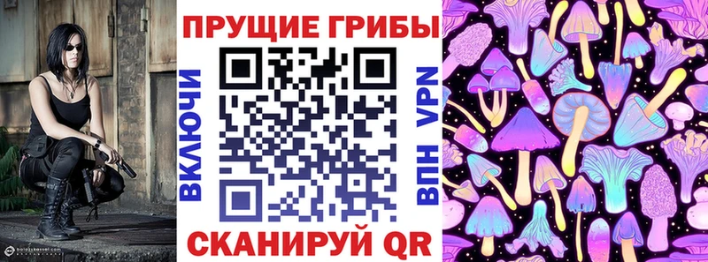 Псилоцибиновые грибы GOLDEN TEACHER  Малая Вишера 